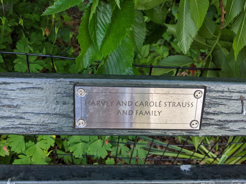 I saw this bench in Central Park