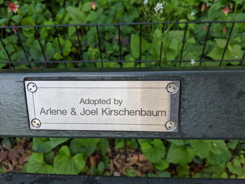 I saw this bench in Central Park