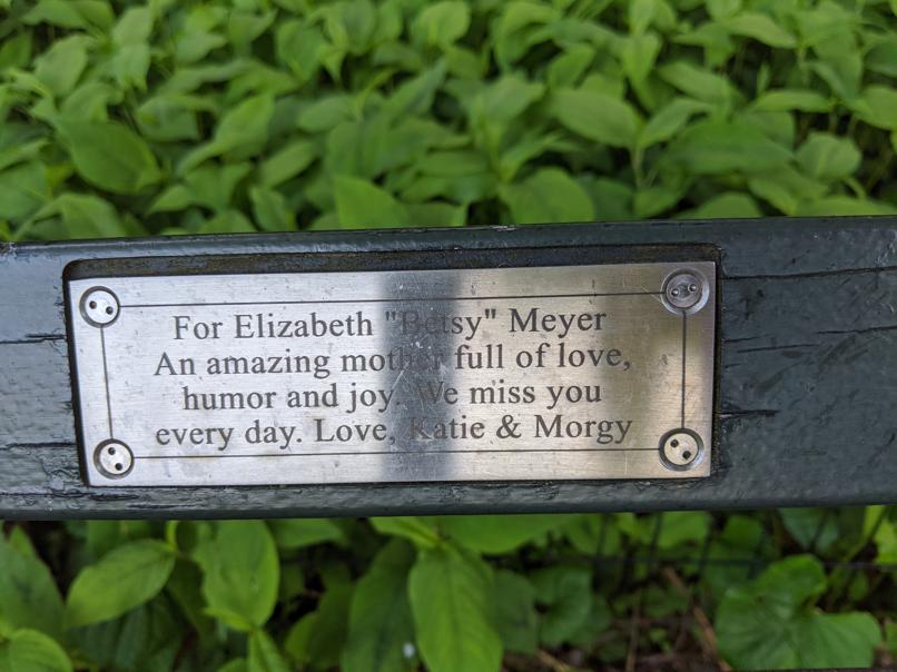 I saw this bench in Central Park