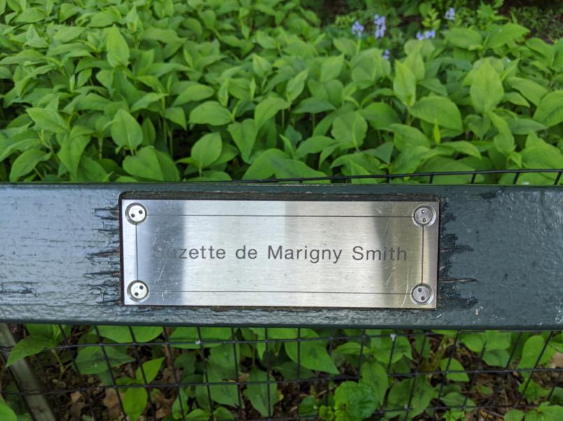 I saw this bench in Central Park