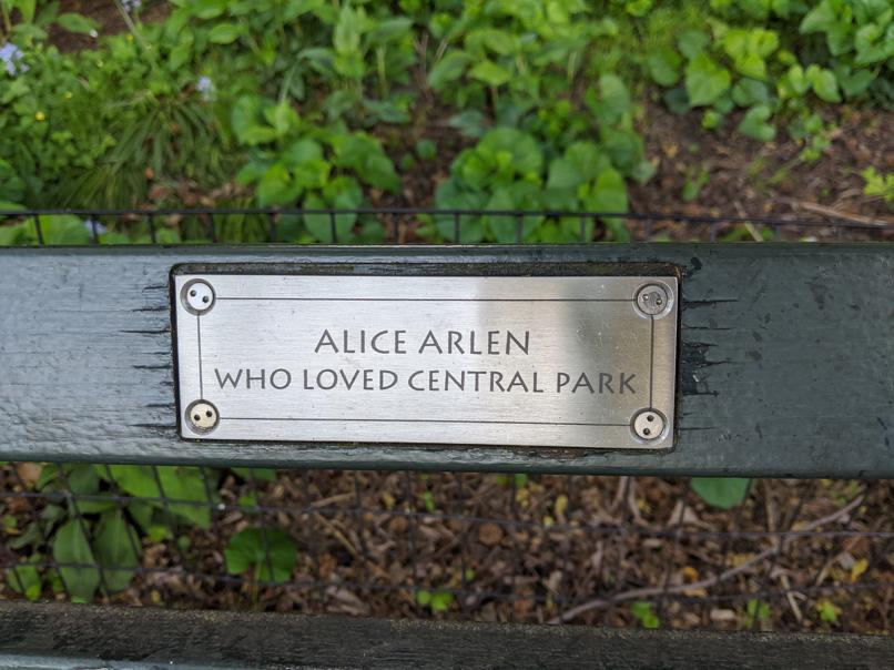 I saw this bench in Central Park