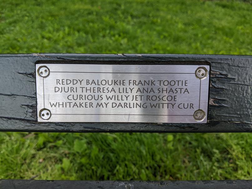 I saw this bench in Central Park