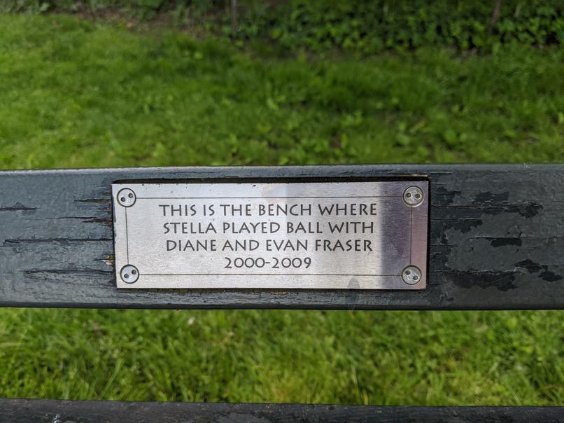 I saw this bench in Central Park