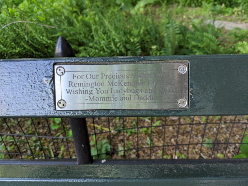 I saw this bench in Central Park