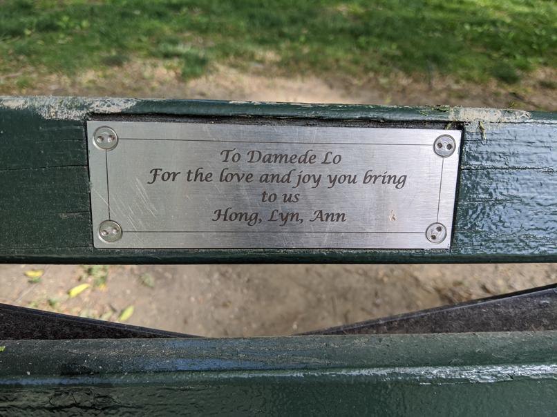 I saw this bench in Central Park