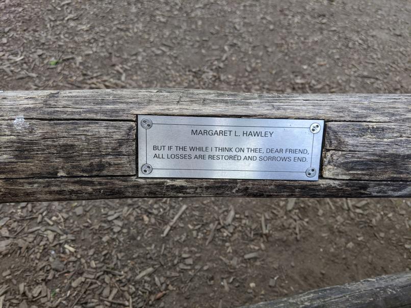 I saw this bench in Central Park