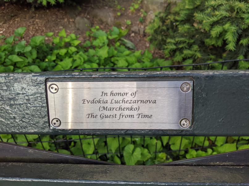 I saw this bench in Central Park