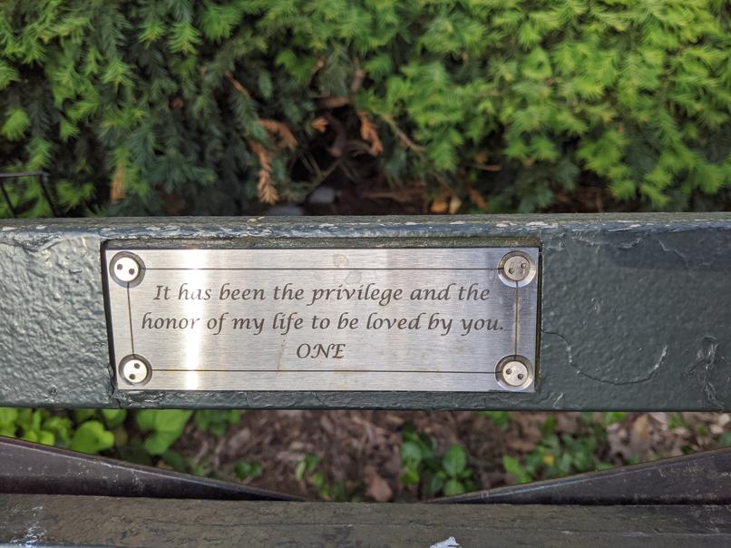 I saw this bench in Central Park