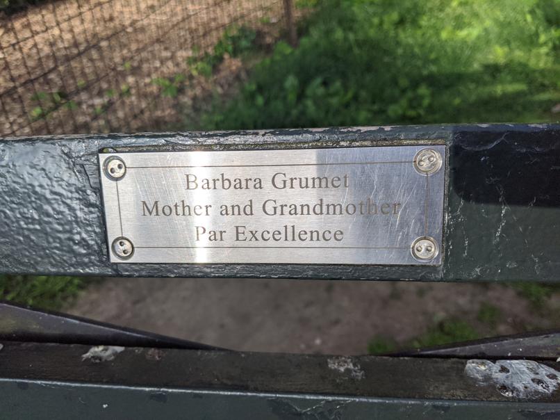 I saw this bench in Central Park