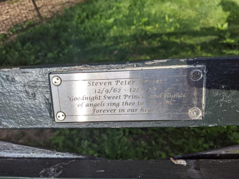 I saw this bench in Central Park