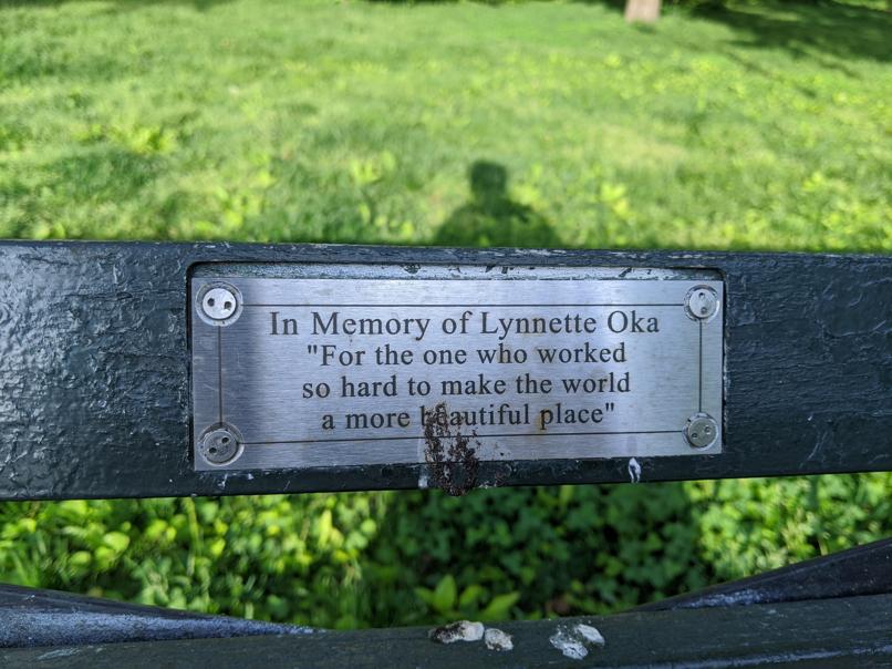 I saw this bench in Central Park