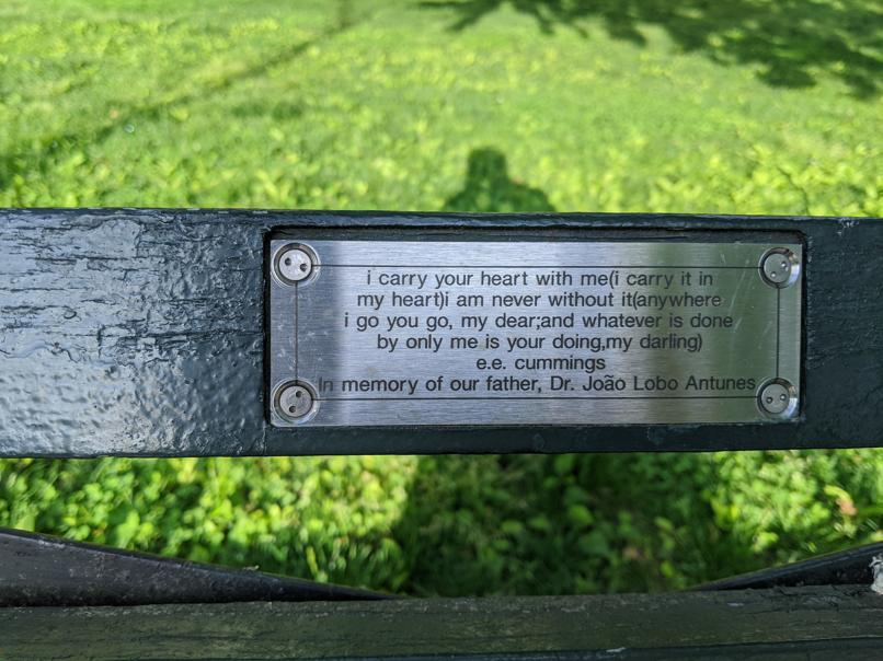 I saw this bench in Central Park