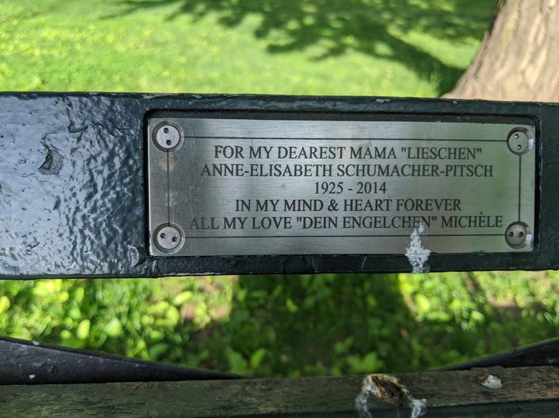 I saw this bench in Central Park