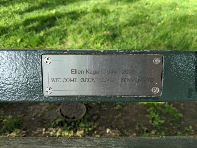 I saw this bench in Central Park