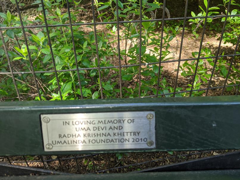 I saw this bench in Central Park