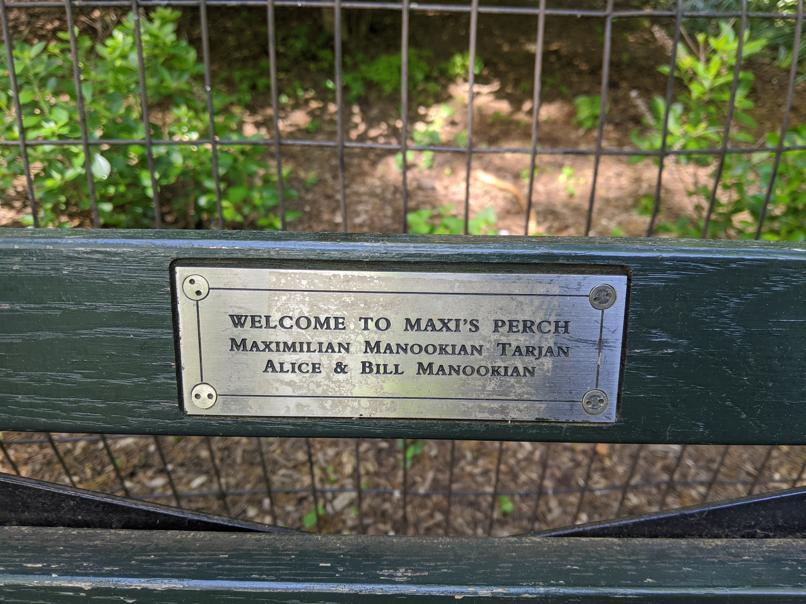 I saw this bench in Central Park