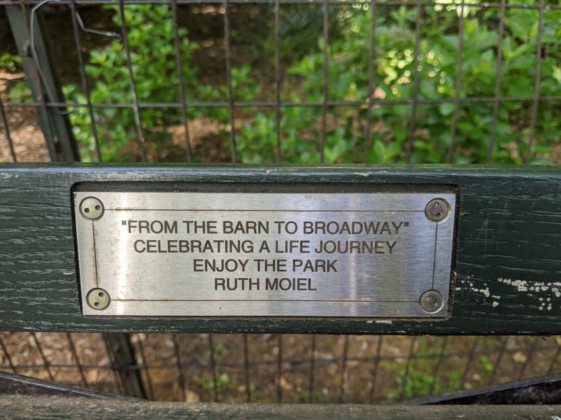 I saw this bench in Central Park