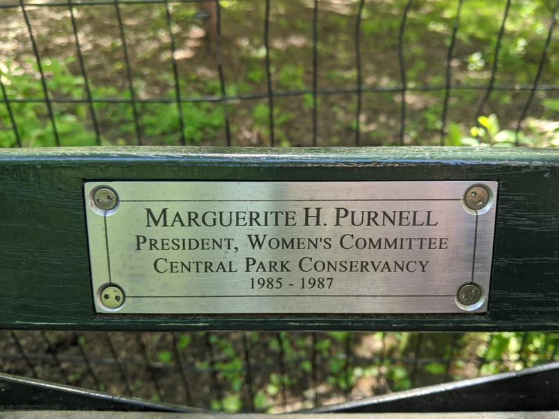 I saw this bench in Central Park