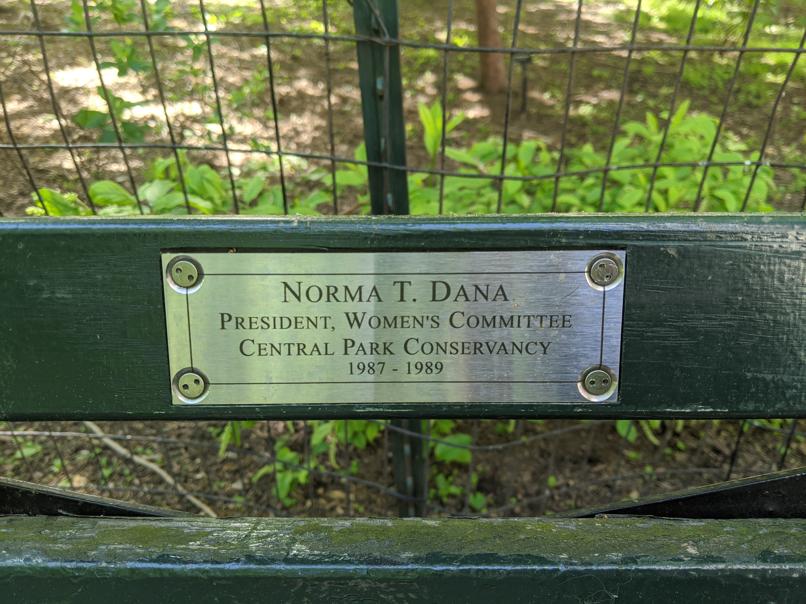 I saw this bench in Central Park