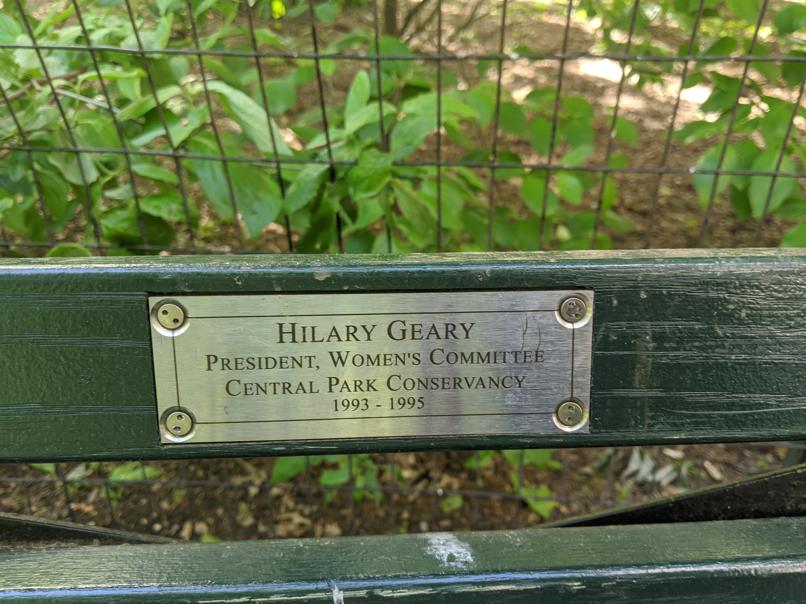 I saw this bench in Central Park