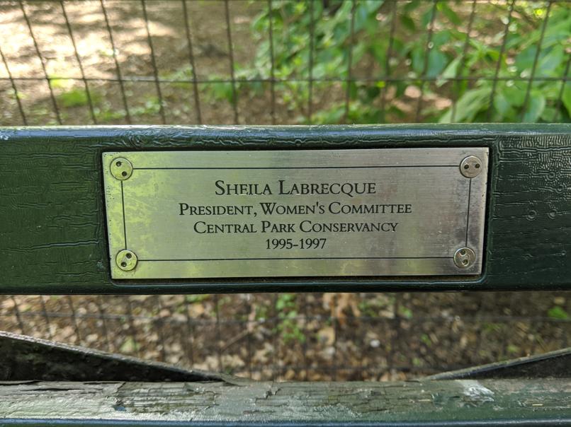 I saw this bench in Central Park