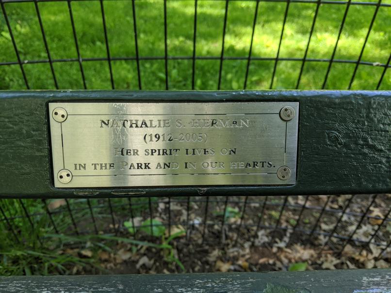 I saw this bench in Central Park