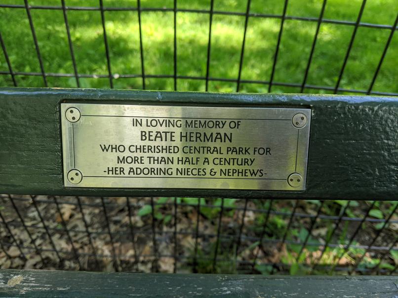 I saw this bench in Central Park