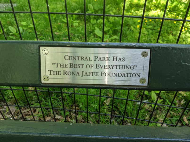 I saw this bench in Central Park