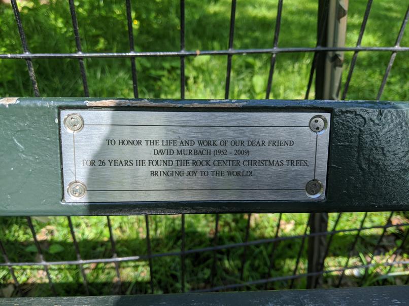 I saw this bench in Central Park