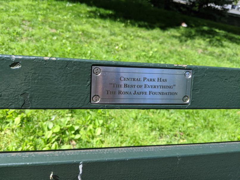 I saw this bench in Central Park