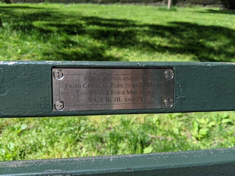 I saw this bench in Central Park