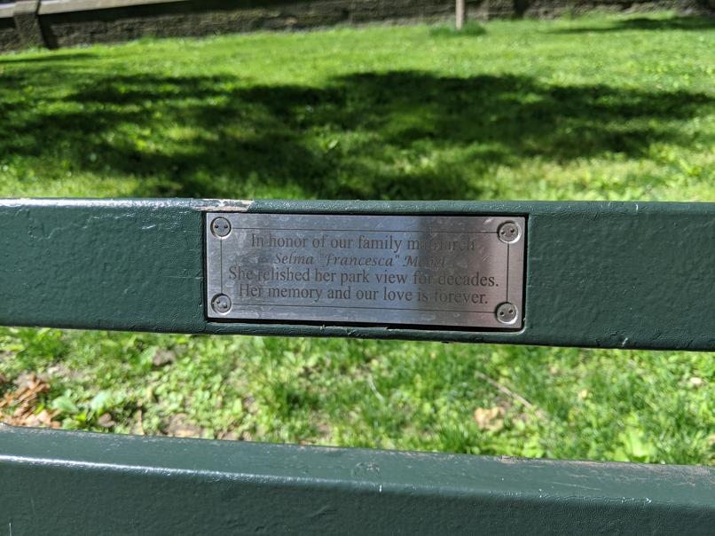 I saw this bench in Central Park