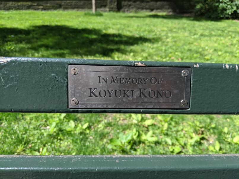 I saw this bench in Central Park