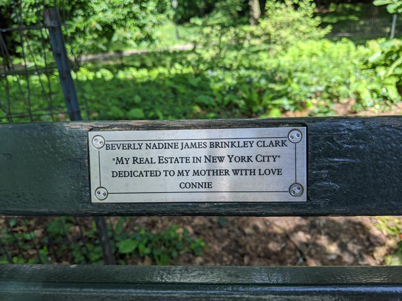 I saw this bench in Central Park