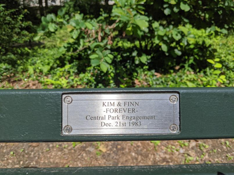 I saw this bench in Central Park