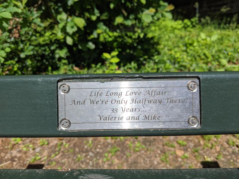 I saw this bench in Central Park