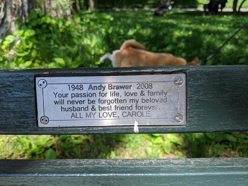 I saw this bench in Central Park