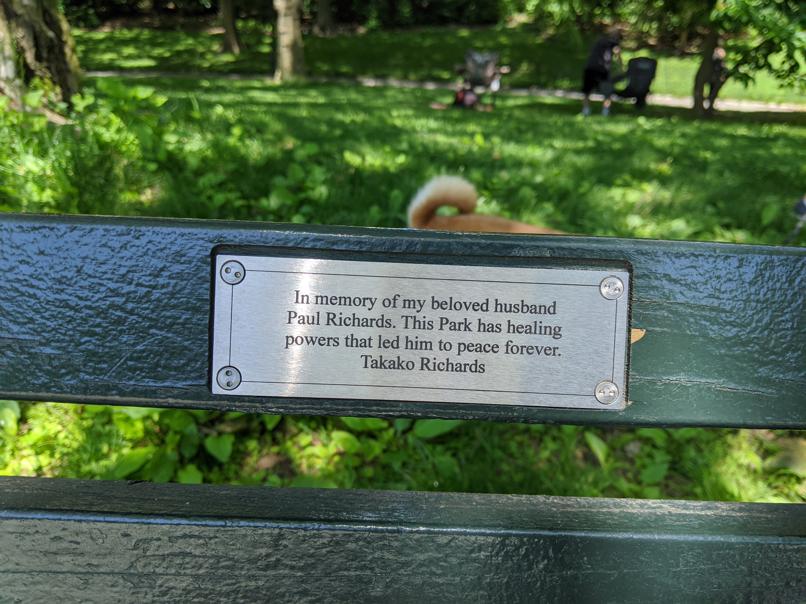 I saw this bench in Central Park