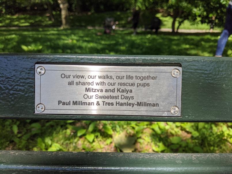 I saw this bench in Central Park