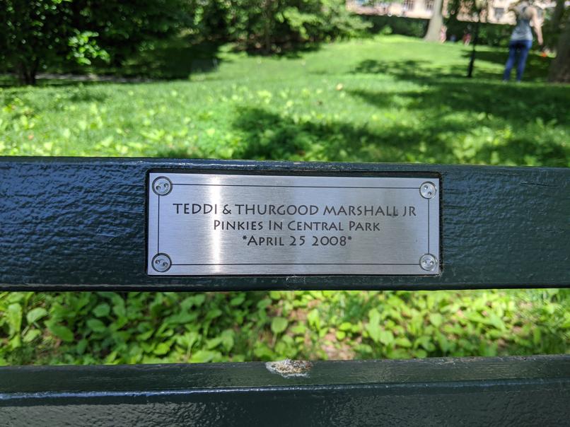 I saw this bench in Central Park