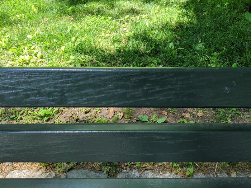 I saw this bench in Central Park