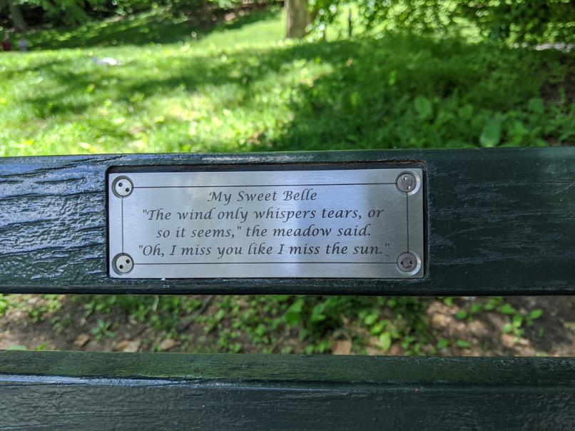 I saw this bench in Central Park