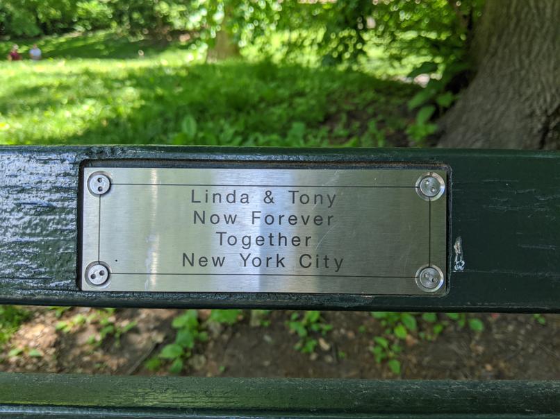 I saw this bench in Central Park