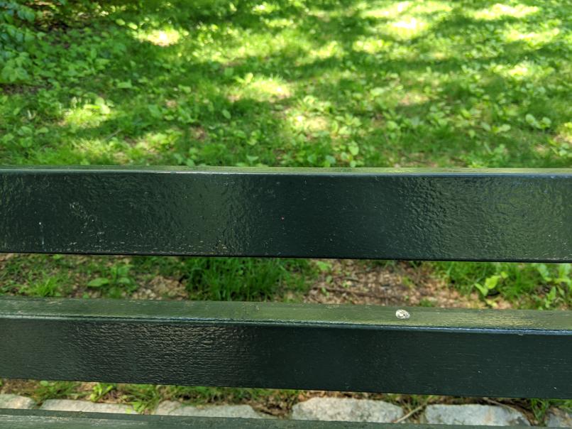 I saw this bench in Central Park