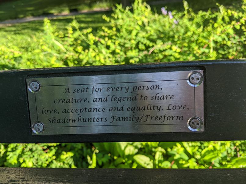 I saw this bench in Central Park