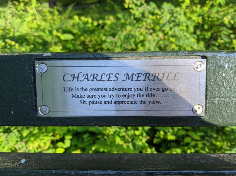 I saw this bench in Central Park