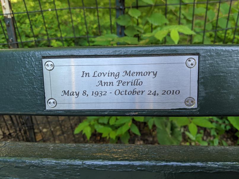 I saw this bench in Central Park