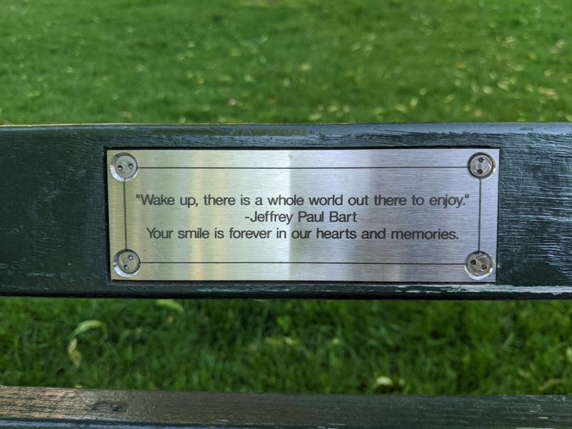 I saw this bench in Central Park