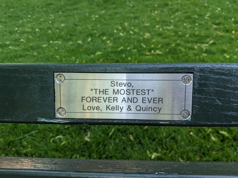 I saw this bench in Central Park