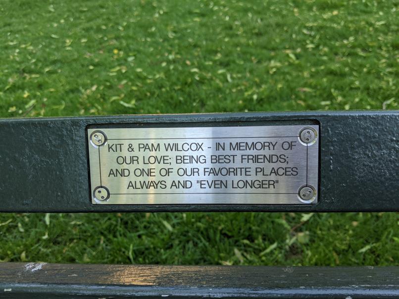 I saw this bench in Central Park